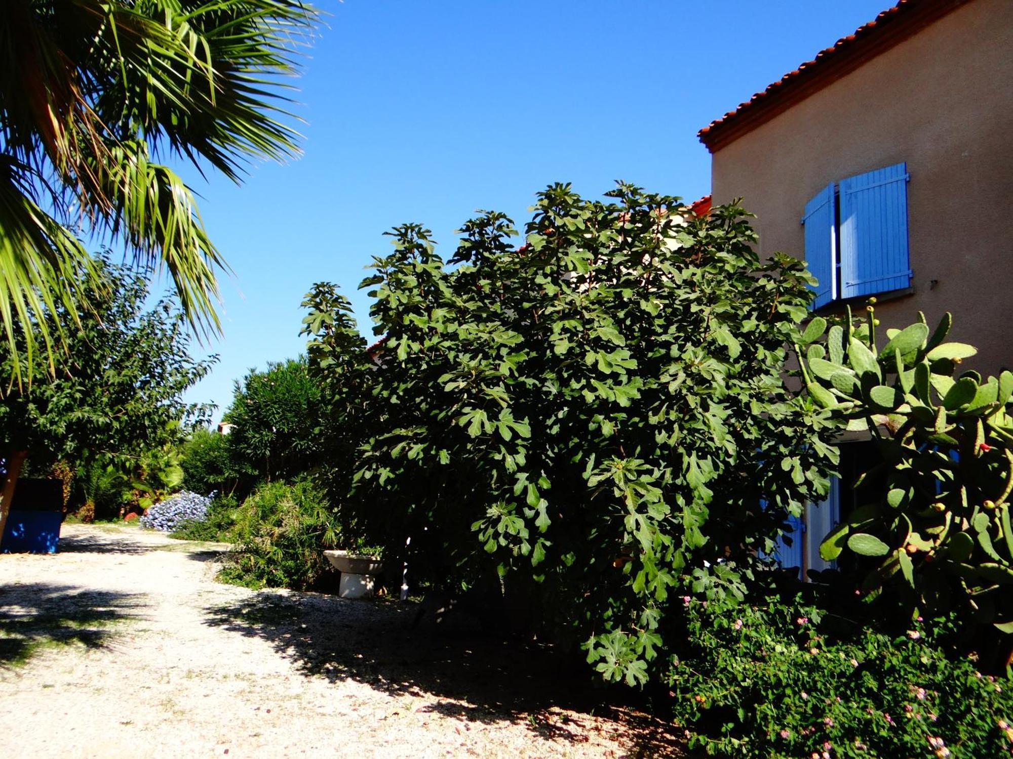 Residence L'Orangeraie-2-Claira 66530 외부 사진